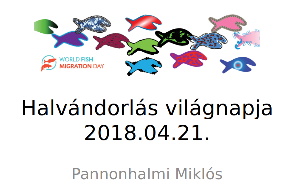 Halvándorlás világnapja-2018. Előadás
