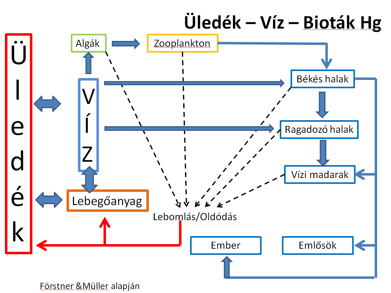 Fertő tó magyarországi tórész mederüledék vizsgálata 2014