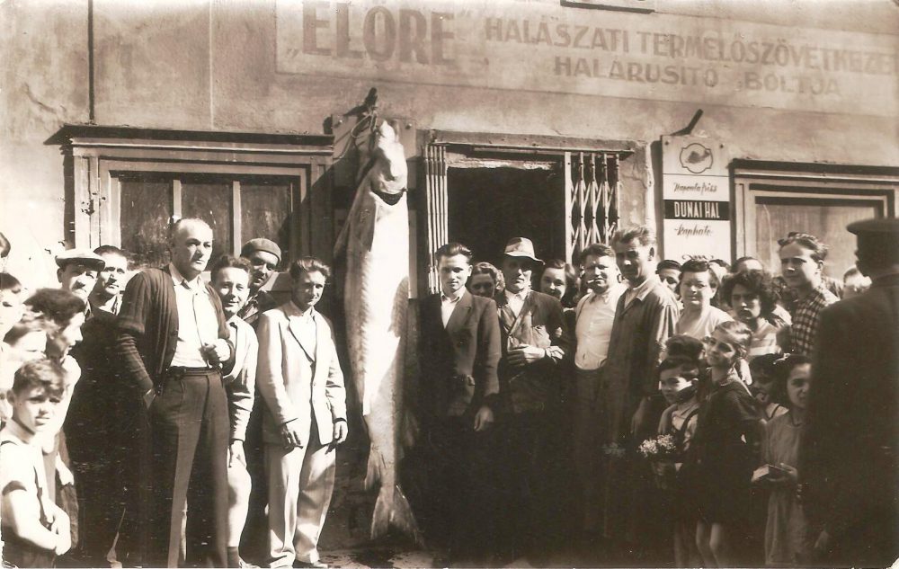 Nagy fogás 1958-ban
