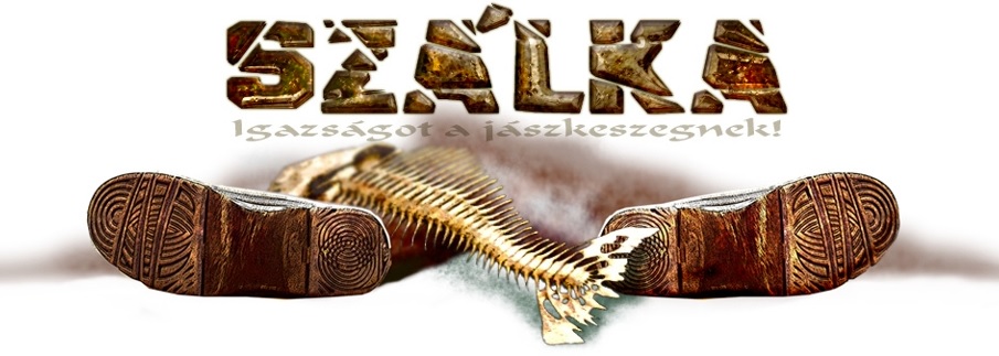 Szálka blog cikke a Viza2020-ról